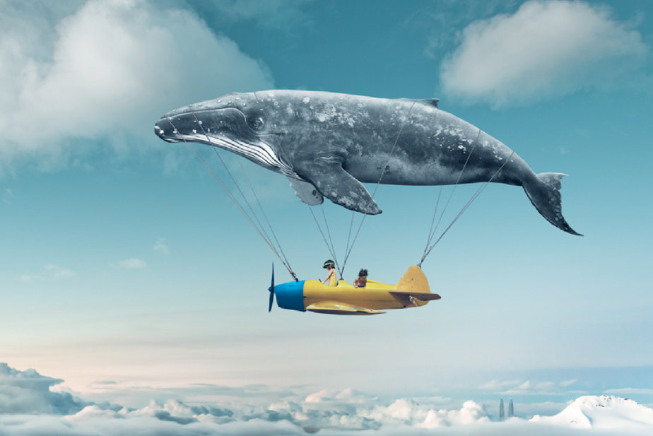 Sitearound: All in One Construction Management Technology