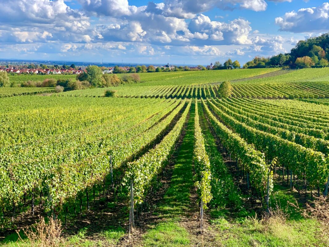 Sitearound: All in One Construction Management Technology