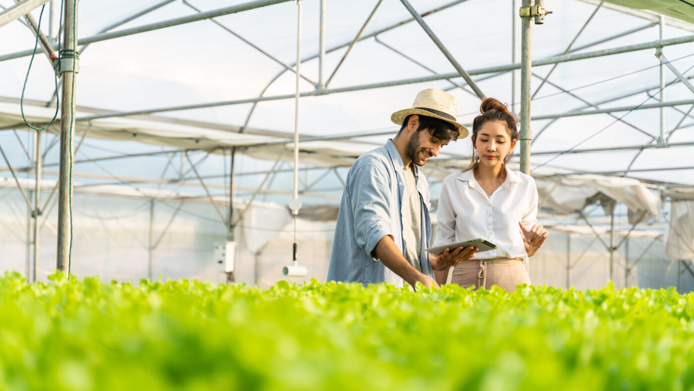 Sitearound: All in One Construction Management Technology