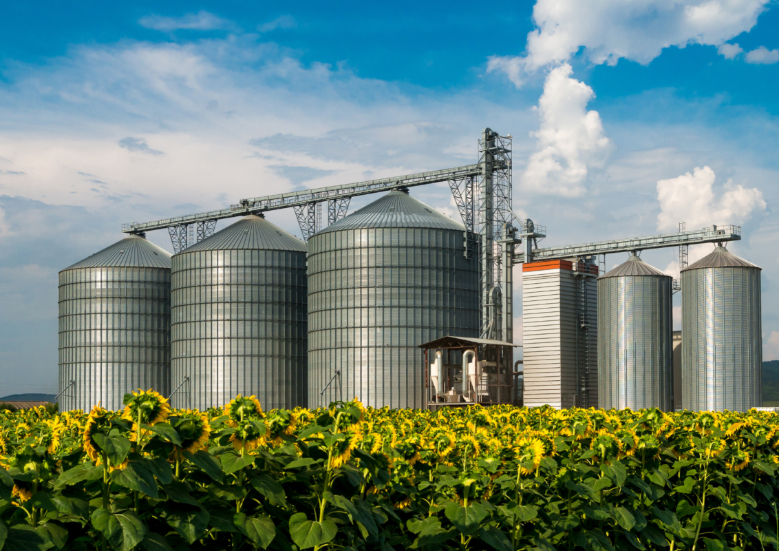 Sitearound: All in One Construction Management Technology