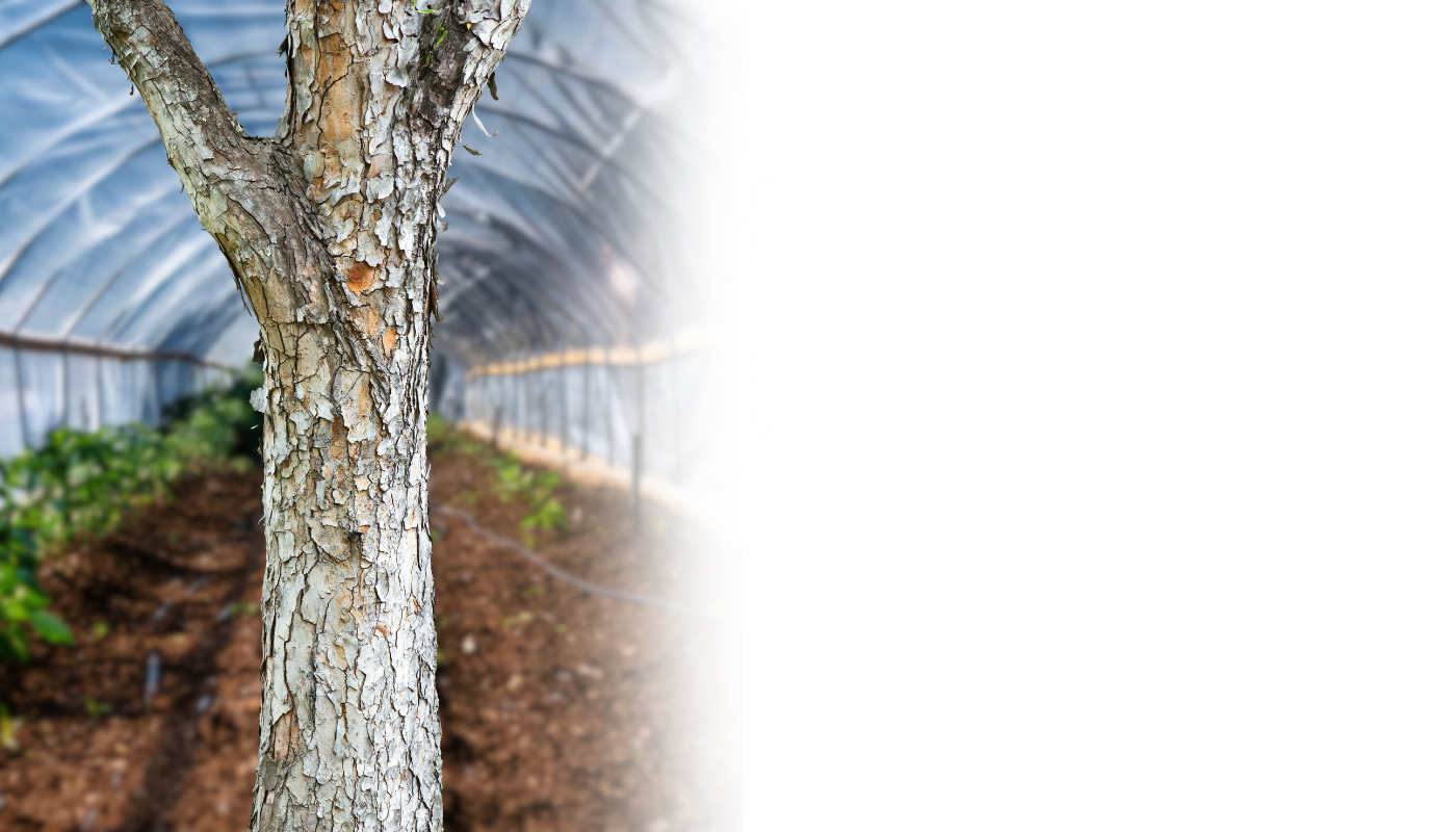 Sitearound: All in One Construction Management Technology