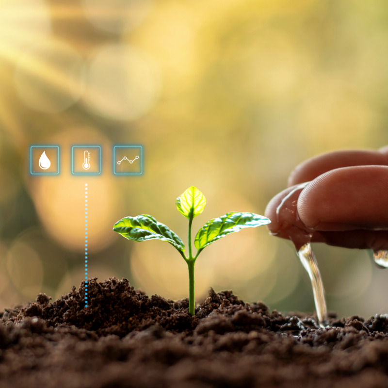 Sitearound: All in One Construction Management Technology
