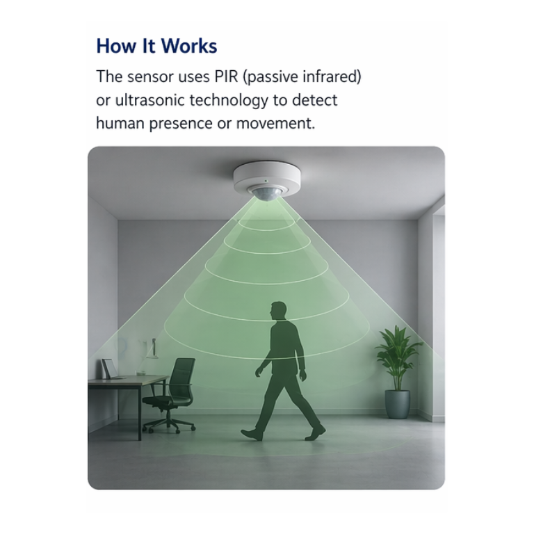 Sitearound: All in One Construction Management Technology